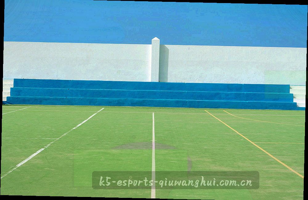 主客场传球成功率对比面板示意，上下两条横向进度条分别为绿色与洋红，下方是对照热力图色块